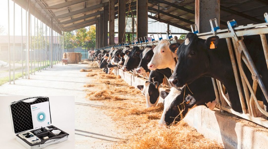 Measure ß-Carotene Directly at the Farm to Improve Cattle Fertility Using iCheck Carotene