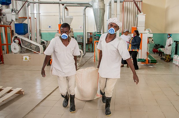 training on training on Improving fortification efficiency of maize flour and wheat flour