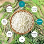 Rice