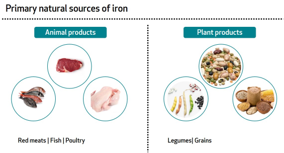 The primary natural animal and plant sources of iron