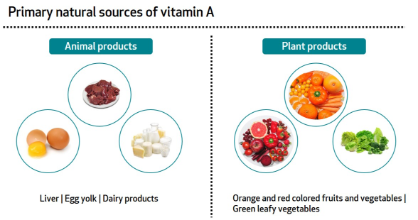 vitamin A sources