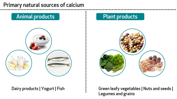 The primary natural animal and plant sources of calcium