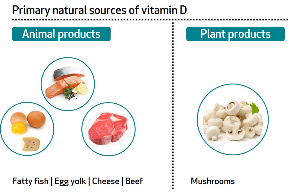 vitamin D sources