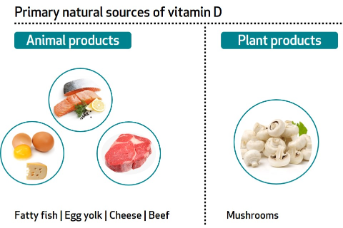 Vitamin D sources