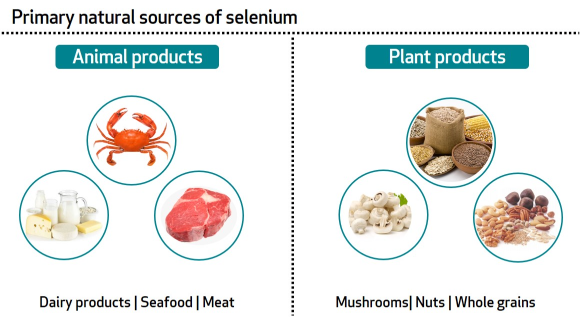 Selenium food sources