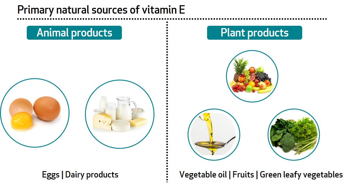 vitamin e deficiency diseases name