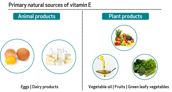 vitamin-E-sources