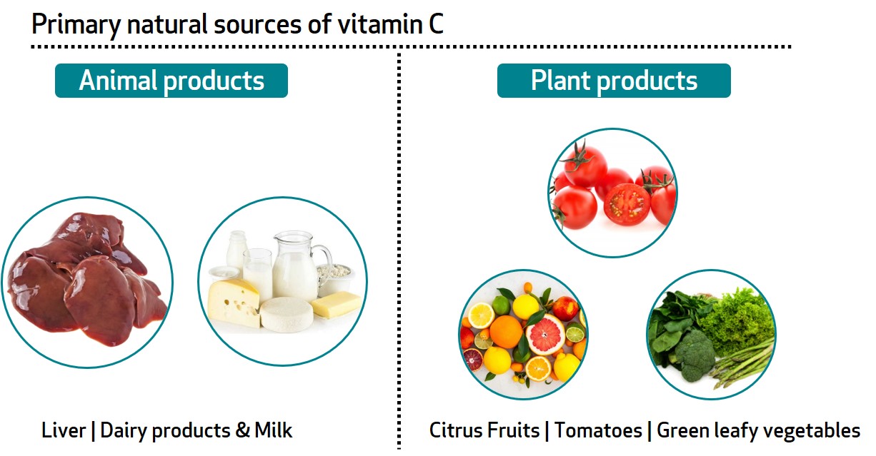 Learn About Your Vitamins And Minerals A New Series Bioanalyt