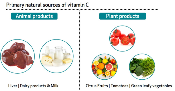 vitamin c sources