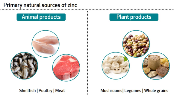 Zinc food sources