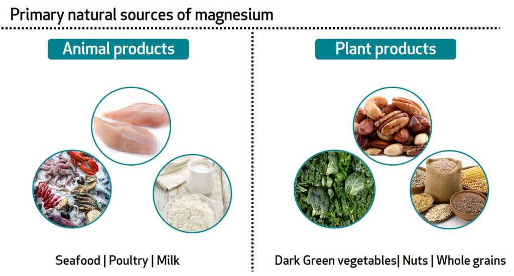 vitamin b1 foods