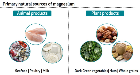 Source of magnesium