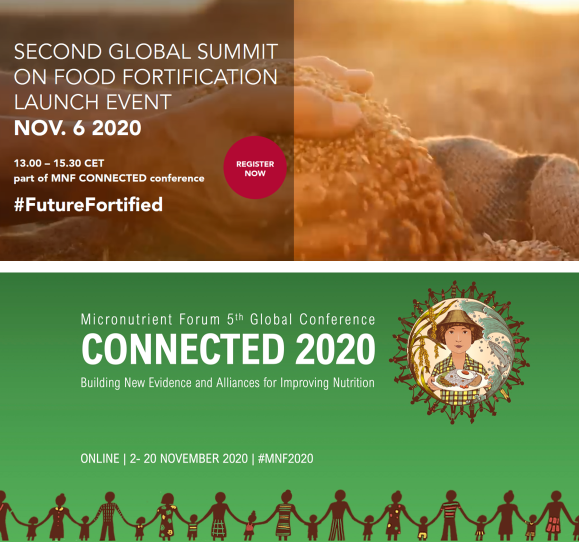 Second Global Summit on Food Fortification