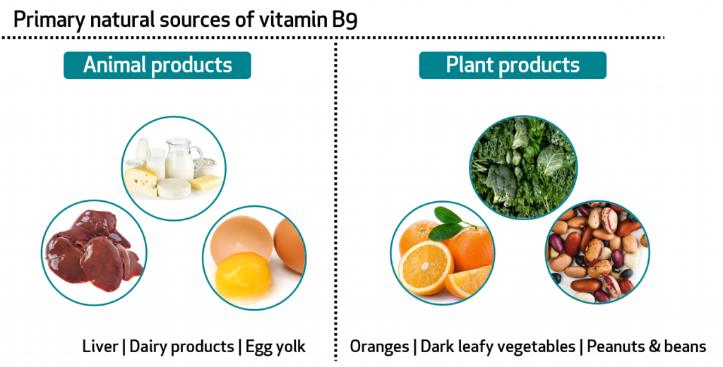 vitamin B9 sources