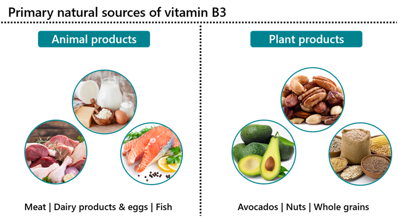 Vitamin B3 Sources | Sources Of Copper In Food | Bioanalyt