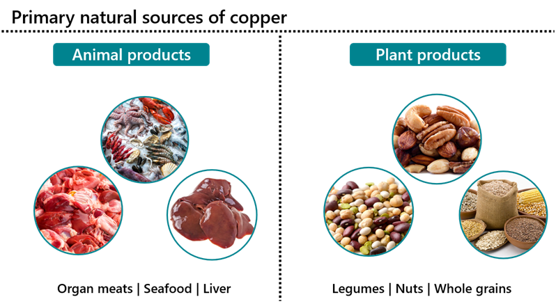 Learn About Your Vitamins and Minerals: Vitamin B3 and Copper