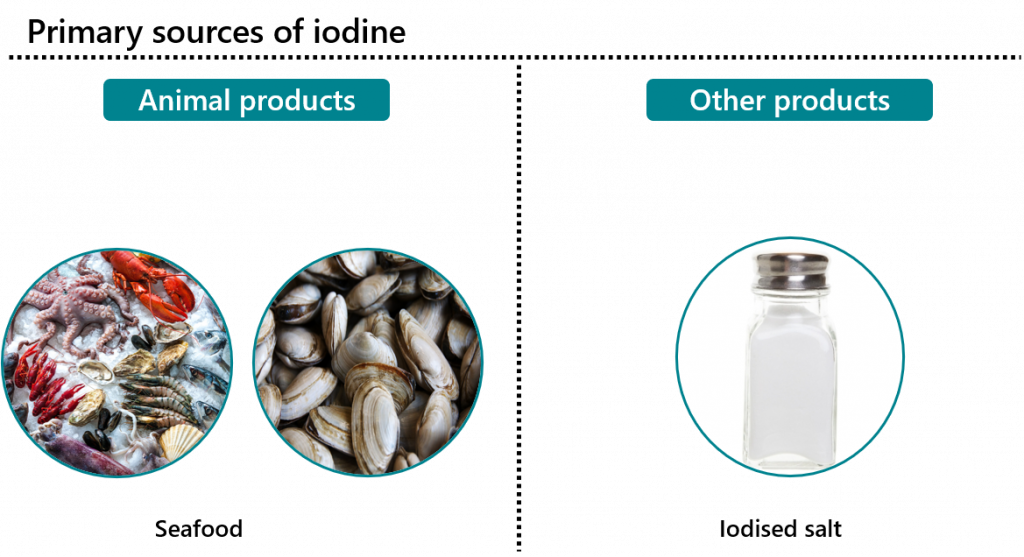 Sources of iodine