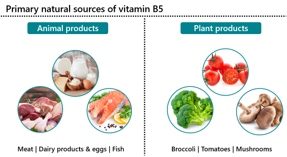 Sources of vitamin B5