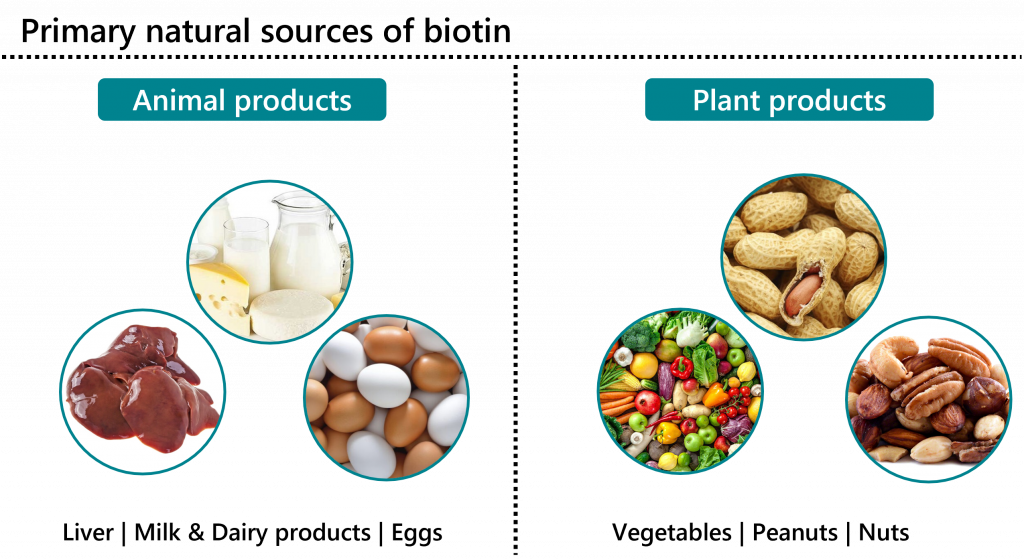 Sources of biotin