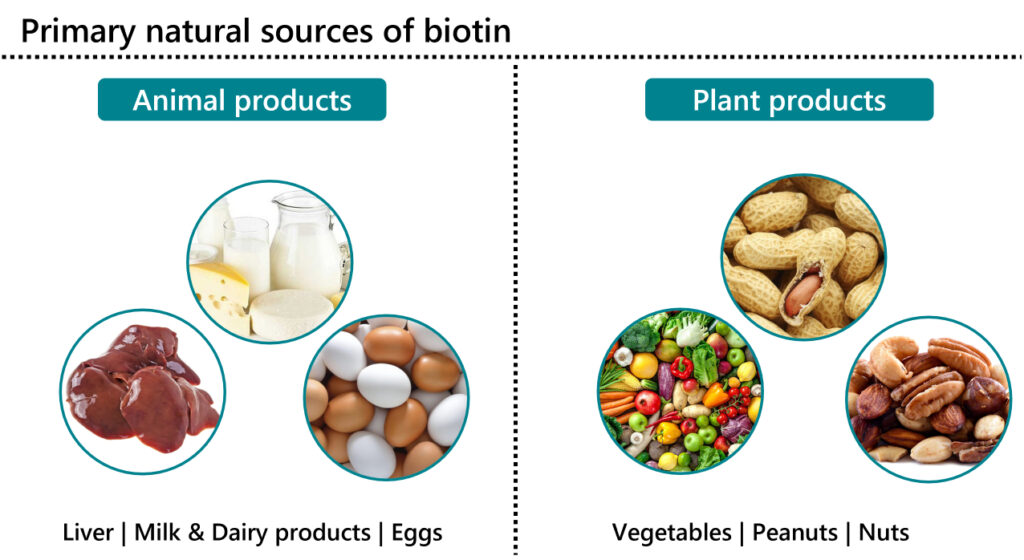 Sources of biotin