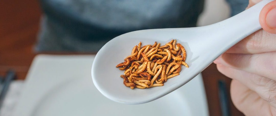 Insects: An Alternative Protein Source in Nutrition
