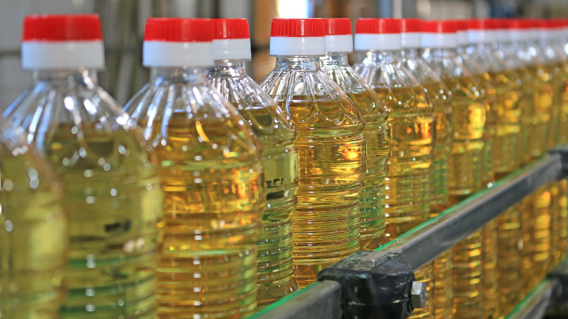 Edible Oil