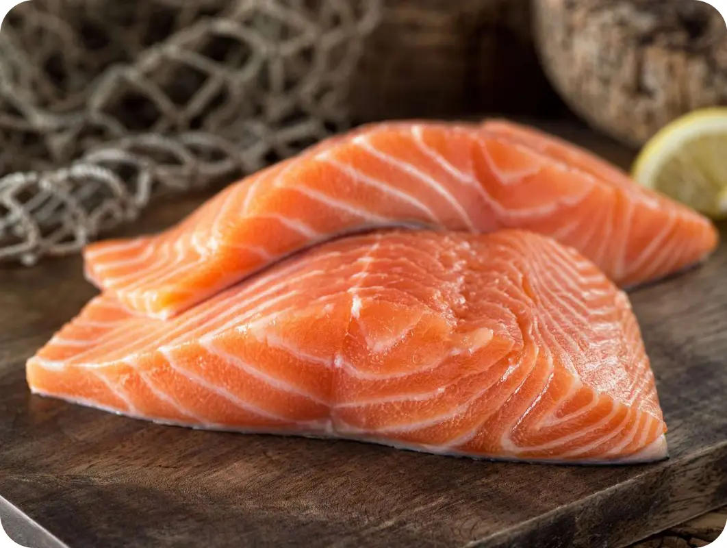 Salmon