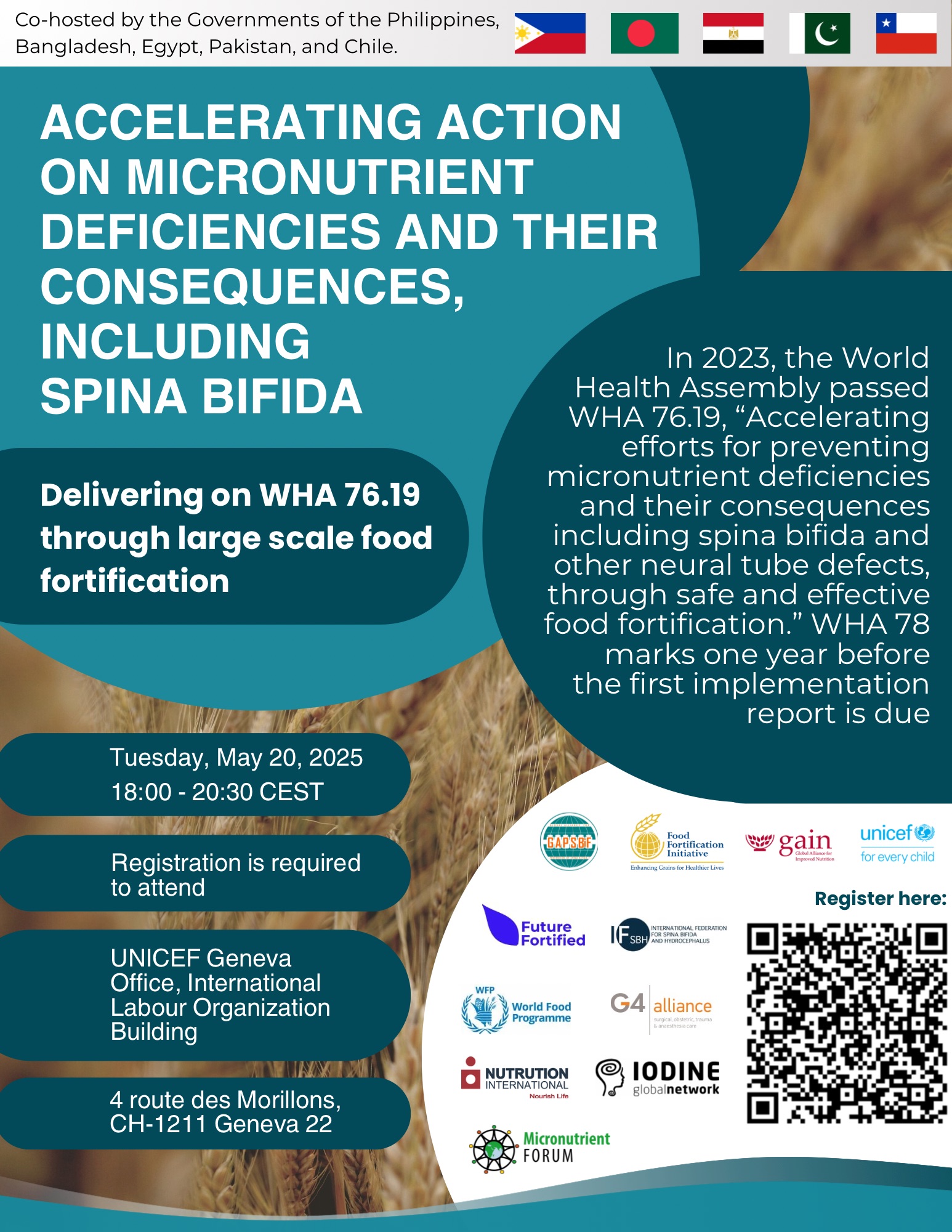 Accelerating Action on Micronutrient Deficiencies and Their Consequences, including Spina Bifida: Delivering on WHA 76.19 through Large-Scale Food Fortification