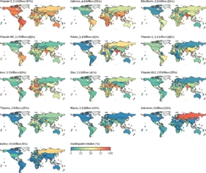 Estimated prevalence of intake inadequacies by country and nutrient (1) 