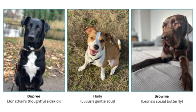 BioAnalyt-Pets