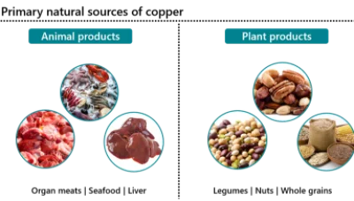 Copper sources