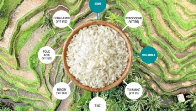Rice