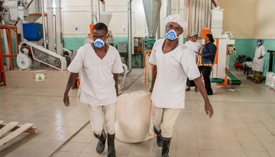 training on training on Improving fortification efficiency of maize flour and wheat flour