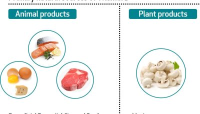 vitamin D sources