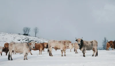 eduardo-garcia-nieto-icv8CW9QHYc-unsplash