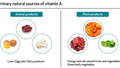 vitamin A sources