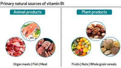 source of vitamin b1