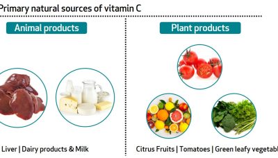 vitamin c sources