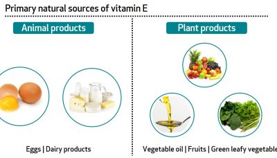 vitamin-E-sources